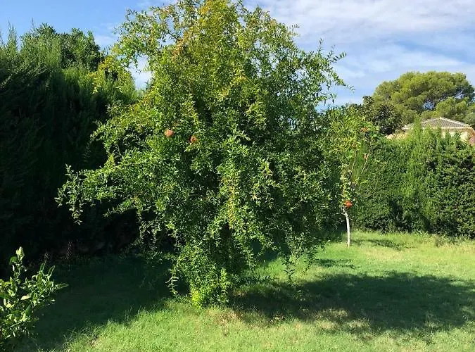 Casa Lusentum 托雷维耶哈