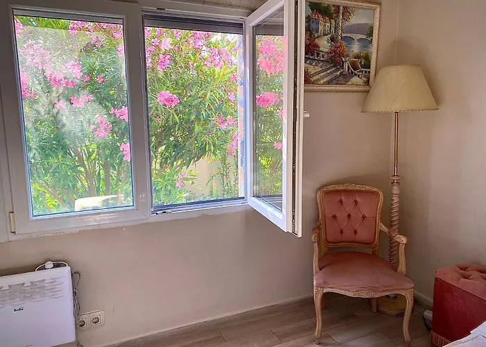 فيلة Casa Lusentum تورّيفيِخا