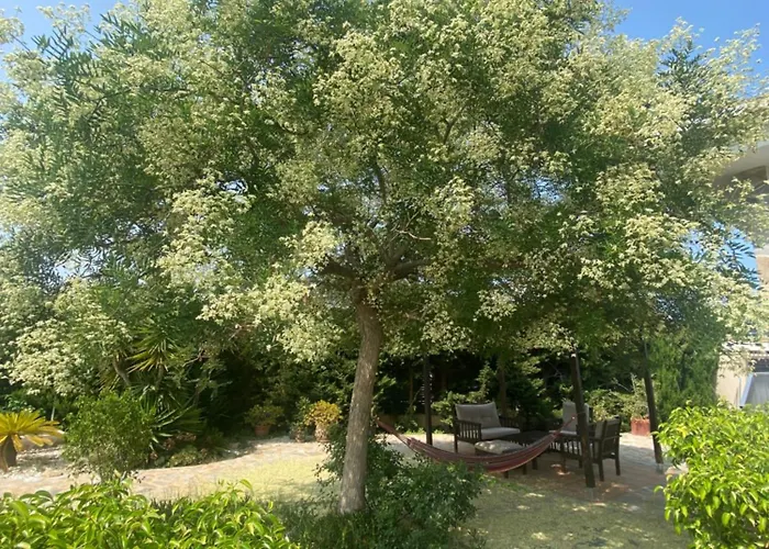 Casa Lusentum فيلة *